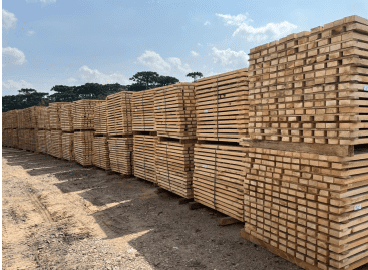 Exportação Pallets